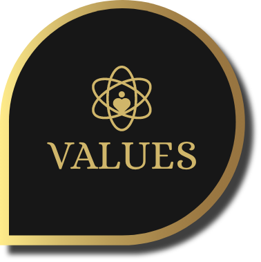 Values icon
